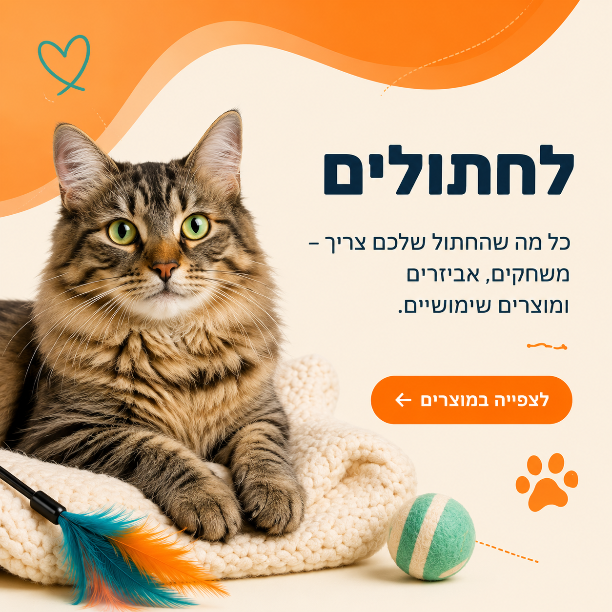 לחתולים