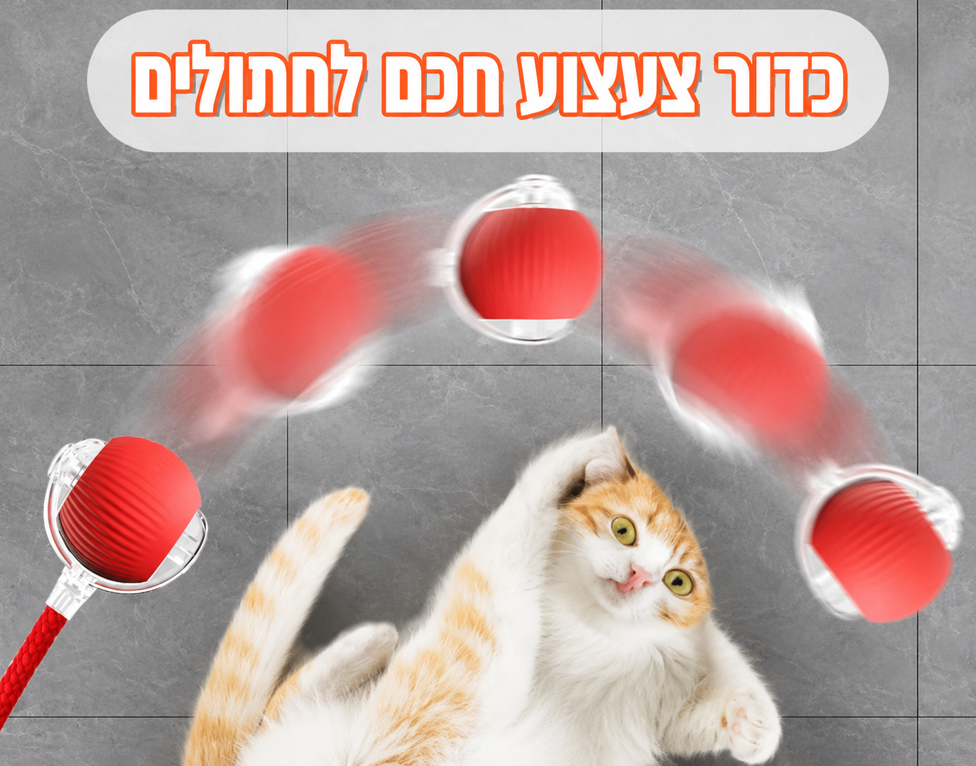 SmartTail – כדור אינטראקטיבי חכם לחתולים וכלבים